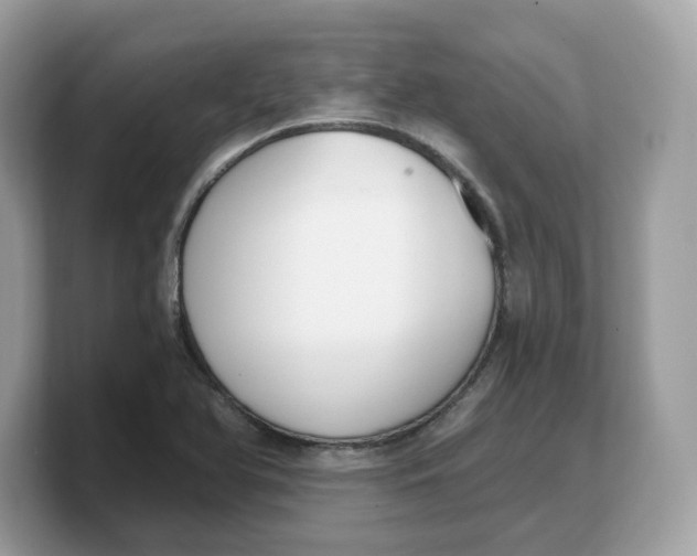 X0000103231366200809181515