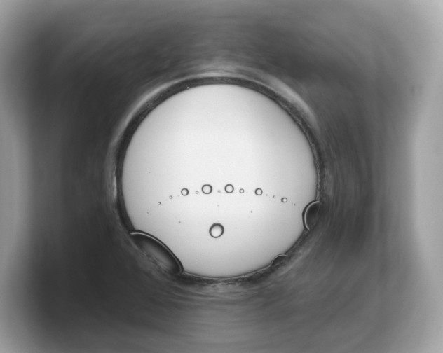 X0000103231368200809181515