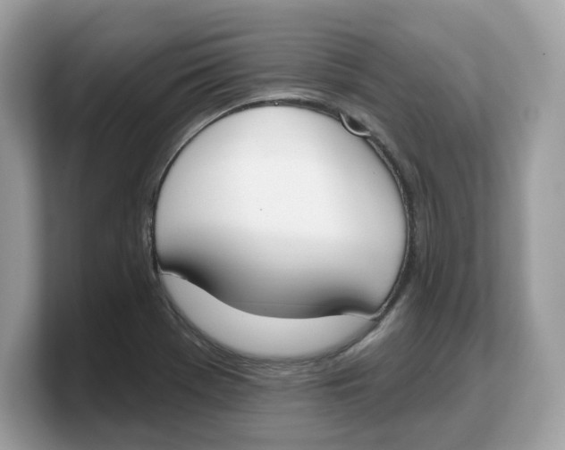 X0000103231369200809181515