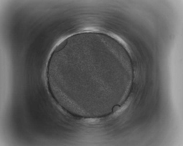 X0000103231373200809181515