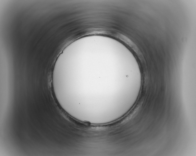 X0000103231377200809181515