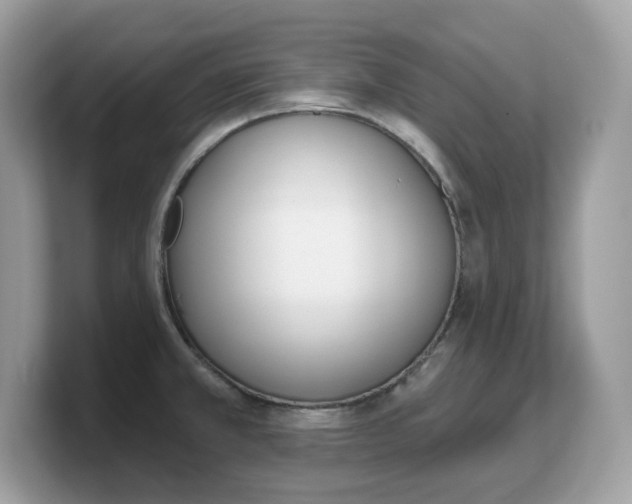 X0000103231381200809181515