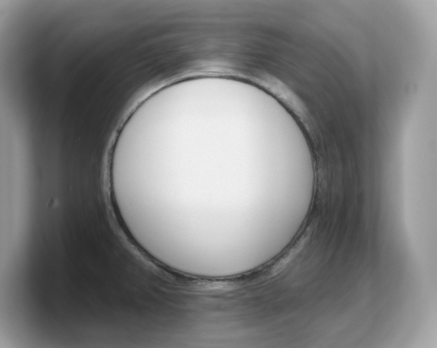 X0000103231382200809181515