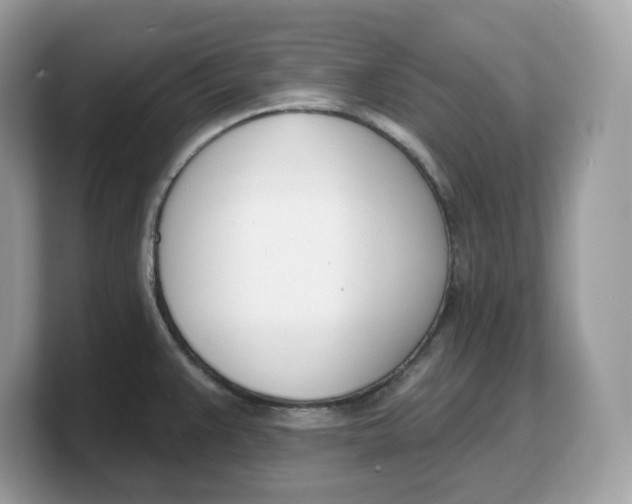 X0000103231383200809181515