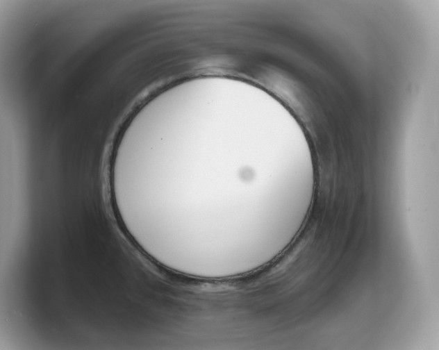 X0000103231384200809181515