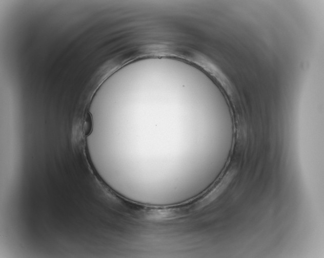 X0000103231385200809181515