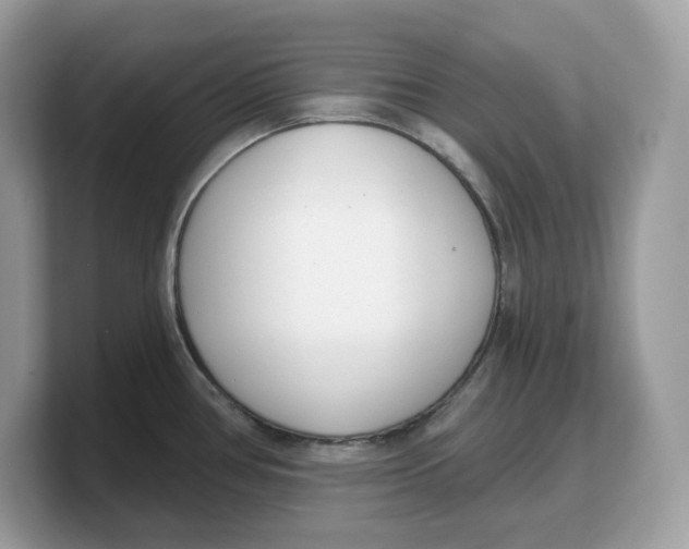 X0000103231386200809181515