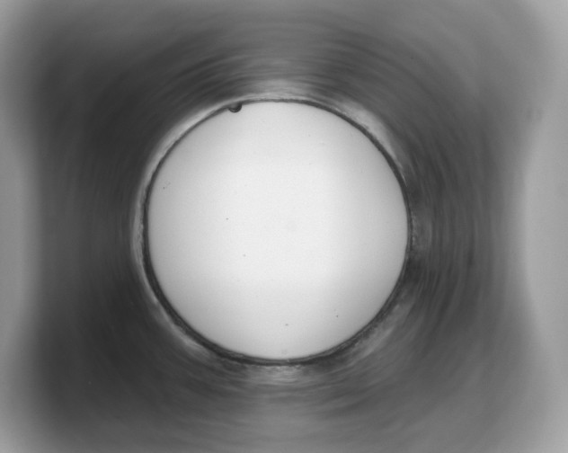 X0000103231387200809181515
