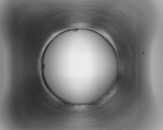 X0000103231389200809181515