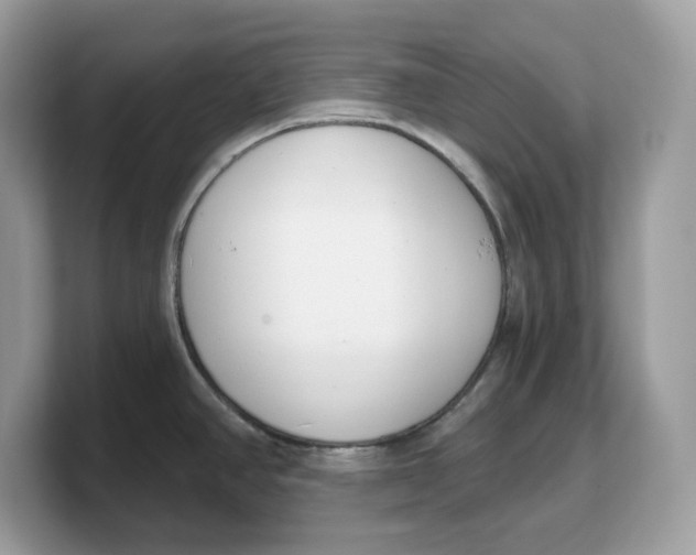 X0000103231390200809181515