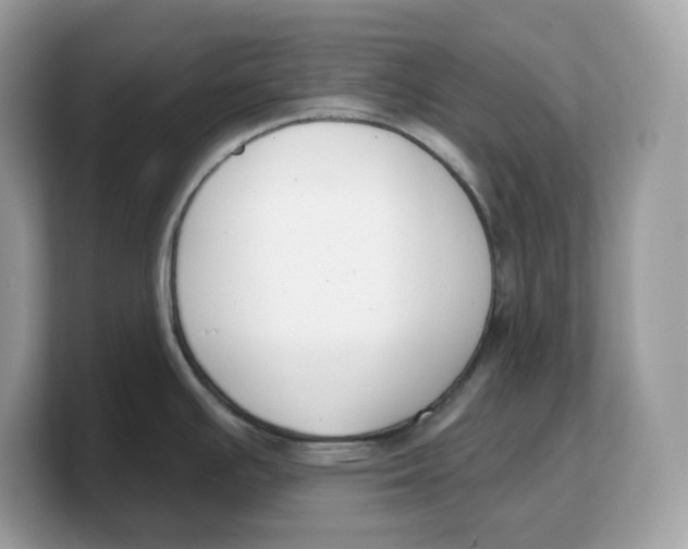 X0000103231391200809181515