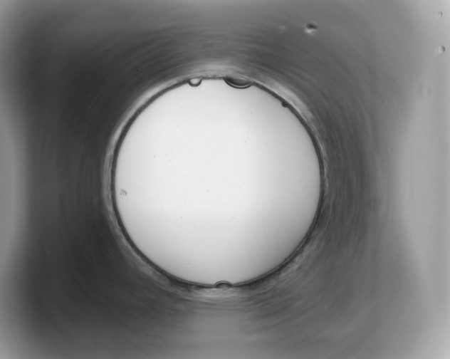 X0000103231392200809181515