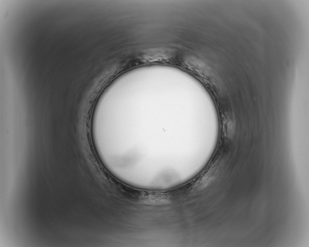 X0000103231393200809181514