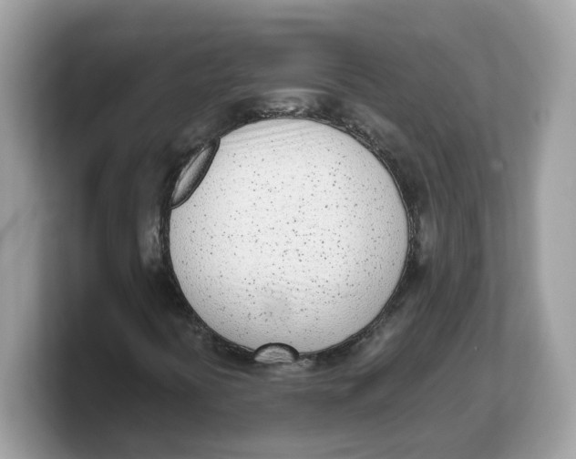 X0000103231394200809181514