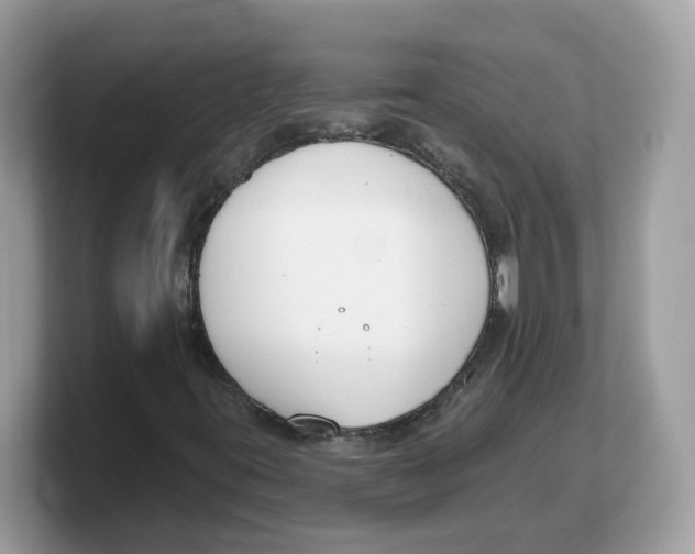 X0000103231395200809181514