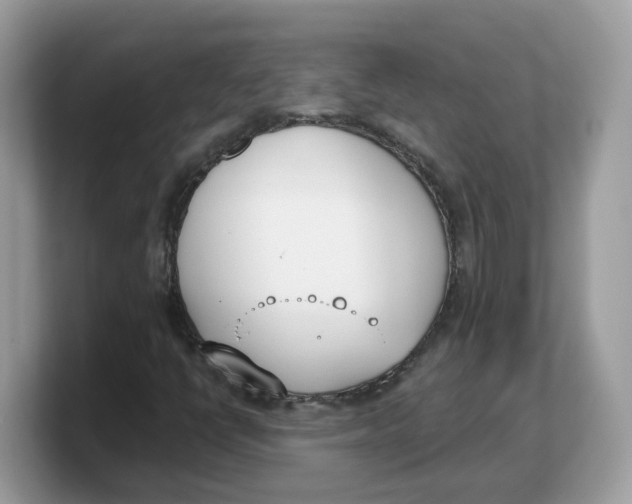 X0000103231398200809181514