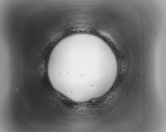 X0000103231399200809181514