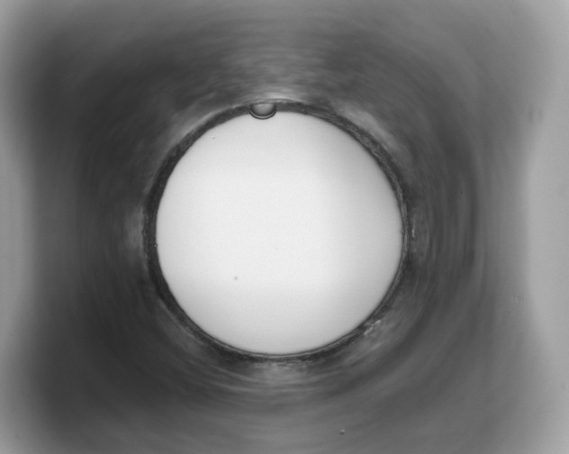 X0000103231404200809181514