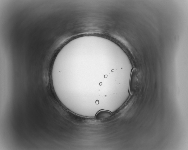 X0000103231407200809181514