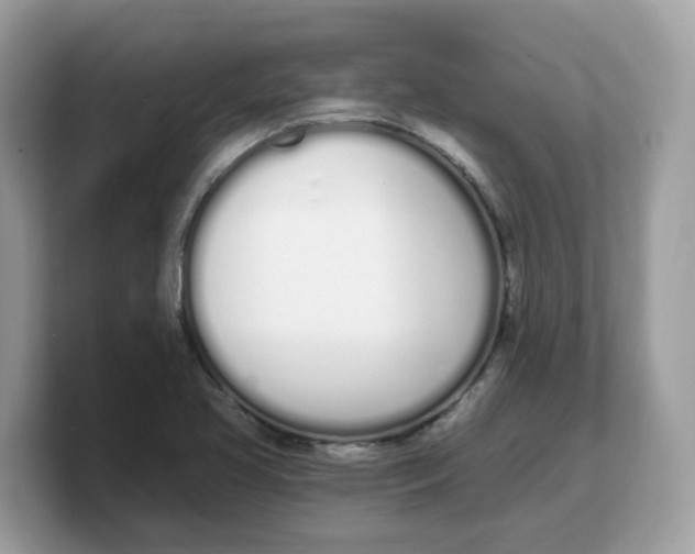 X0000103231413200809181514