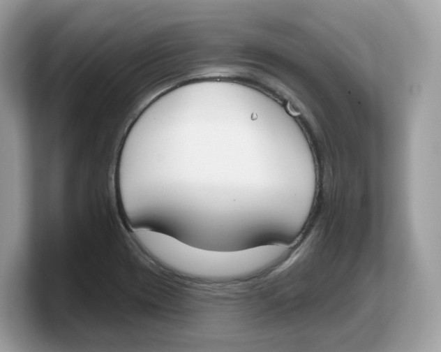 X0000103231417200809181514