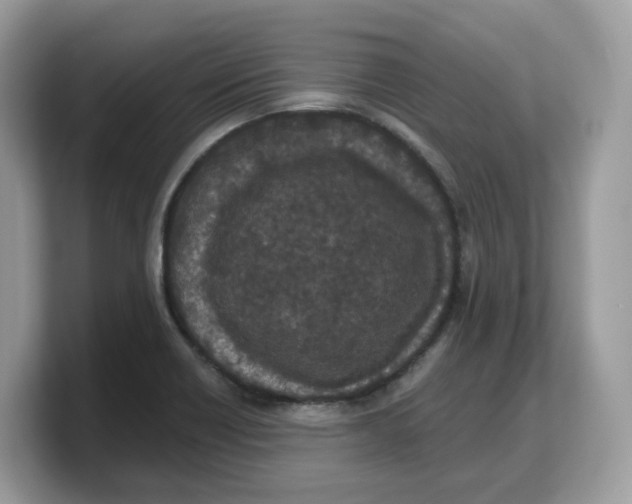 X0000103231418200809181514