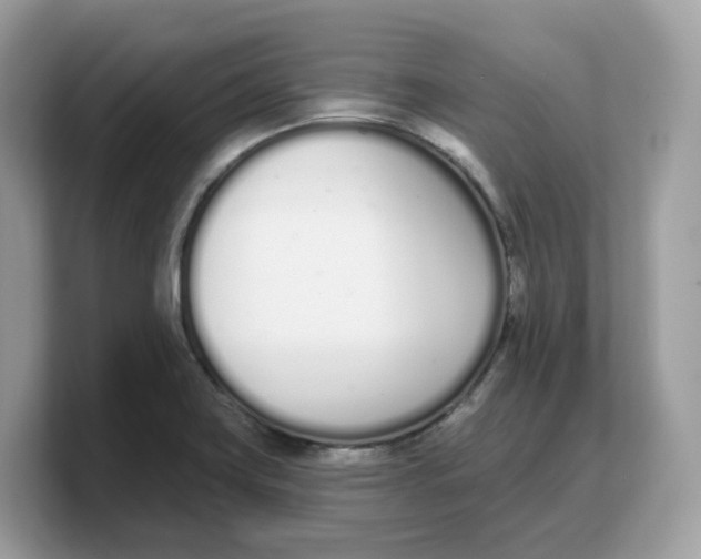 X0000103231419200809181514