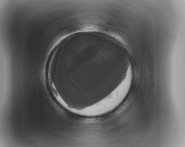 X0000103231422200809181515