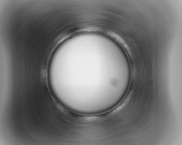 X0000103231425200809181515