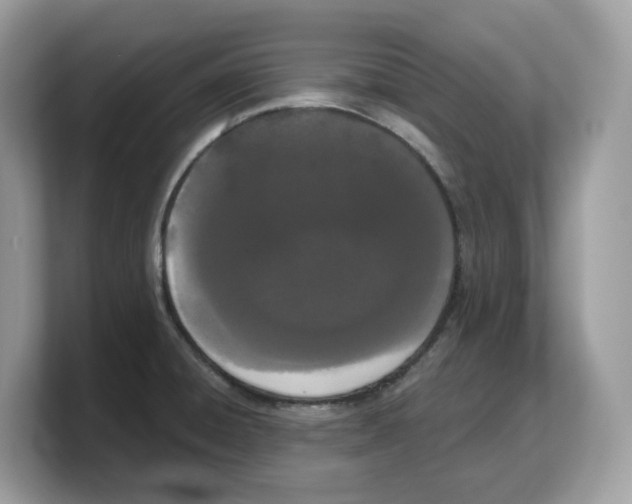 X0000103231428200809181515