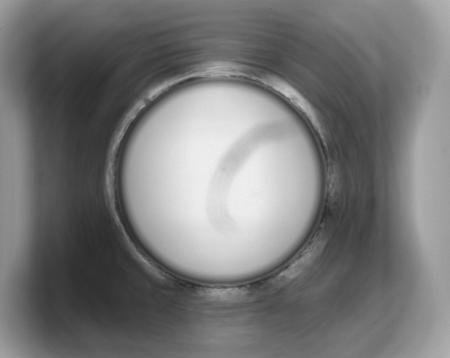 X0000103231429200809181515