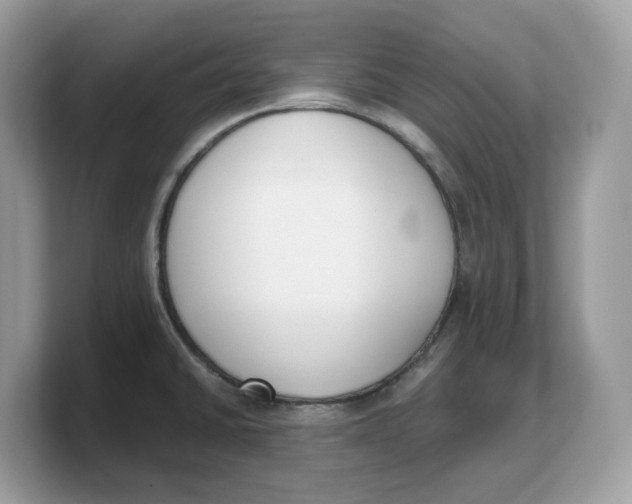 X0000103231430200809181515