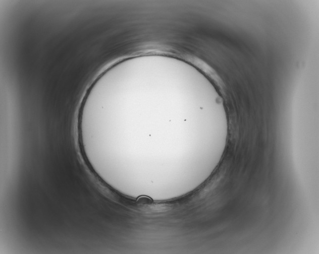 X0000103231431200809181515