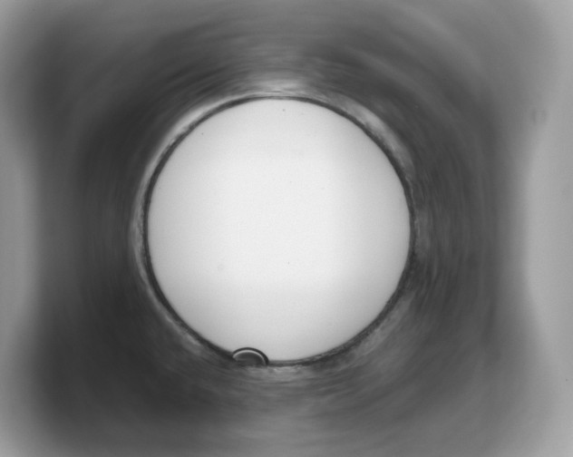 X0000103231432200809181515