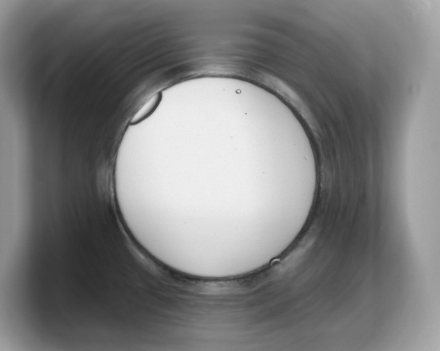 X0000103231433200809181515