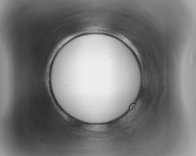 X0000103231437200809181515