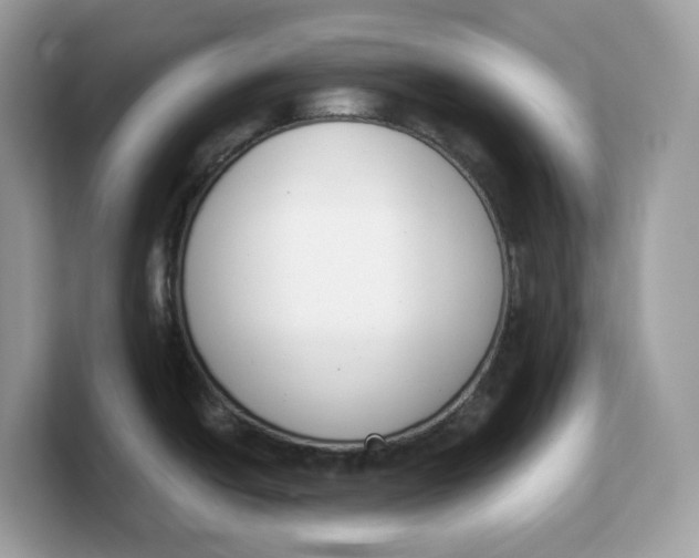 X0000103231438200809181515