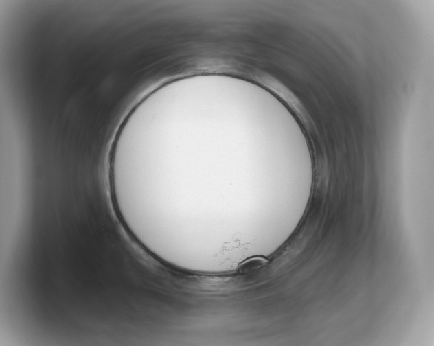 X0000103231439200809181515