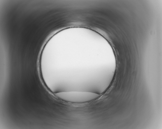X0000103231440200809181515