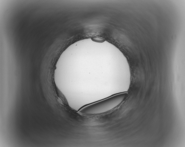 X0000103231441200809181514