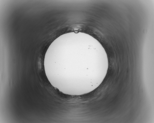 X0000103231442200809181514