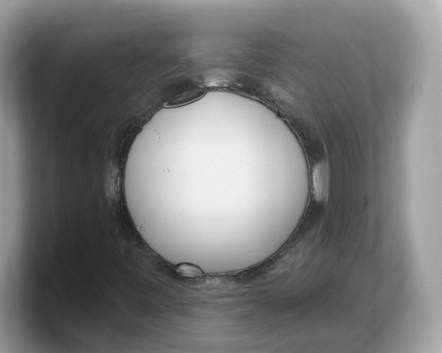 X0000103231443200809181514
