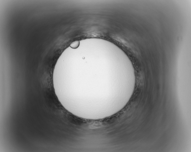 X0000103231446200809181514