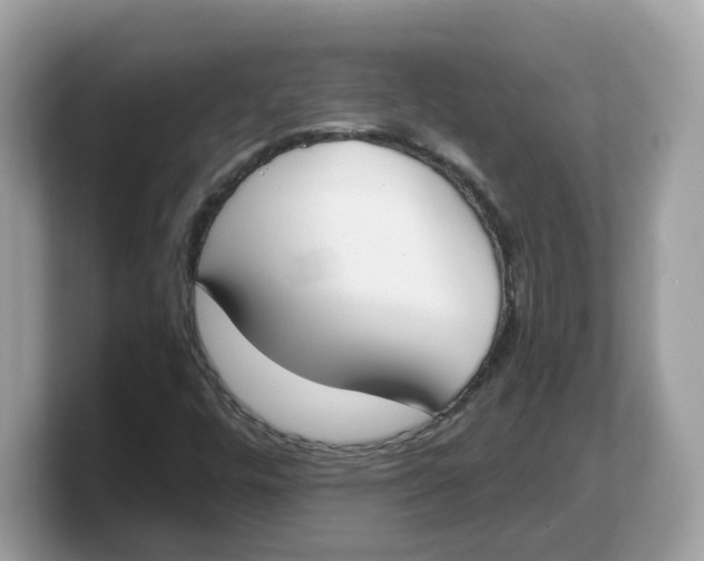 X0000103231448200809181514