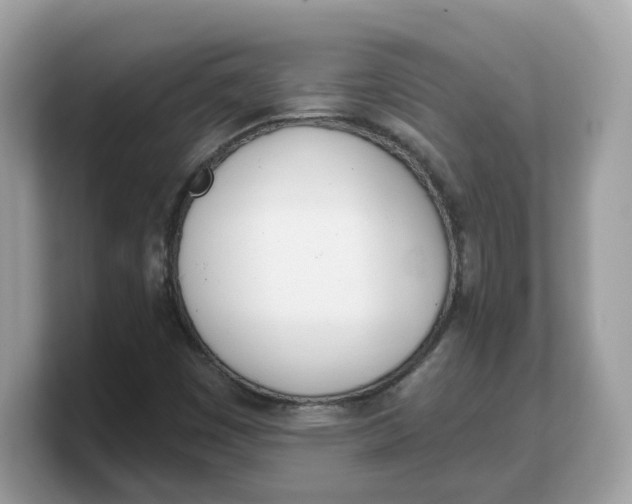 X0000103231449200809181514