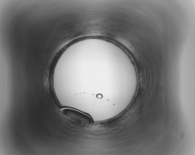 X0000103231452200809181514
