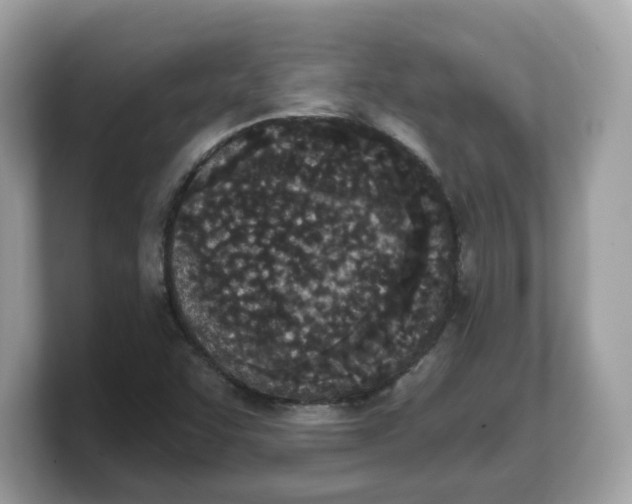 X0000103231455200809181514