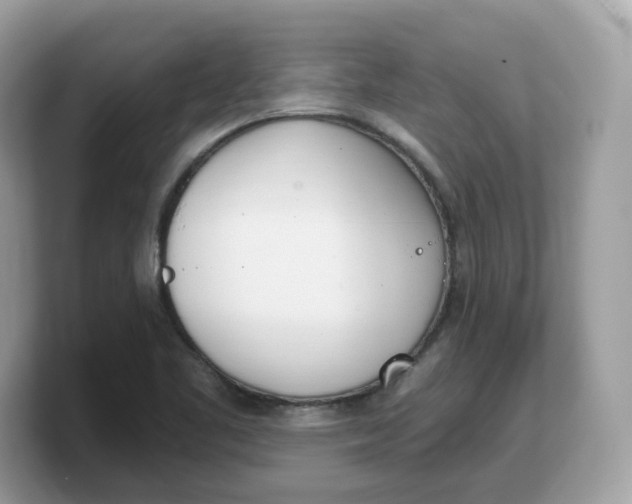 X0000103231461200809181514