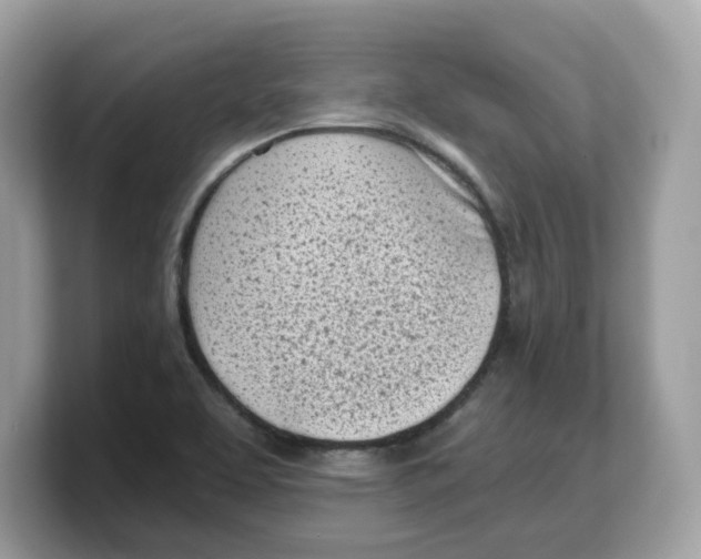 X0000103231463200809181514