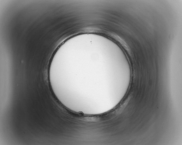 X0000103231465200809181514
